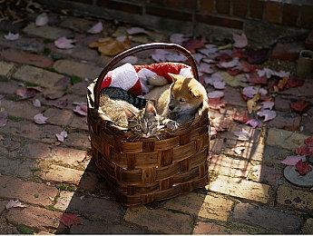 《最终幻想14》新资料片要来？松野泰己在写新剧本